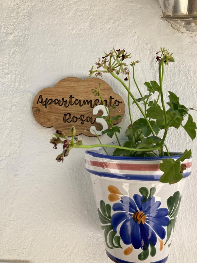 Apartment Rosa