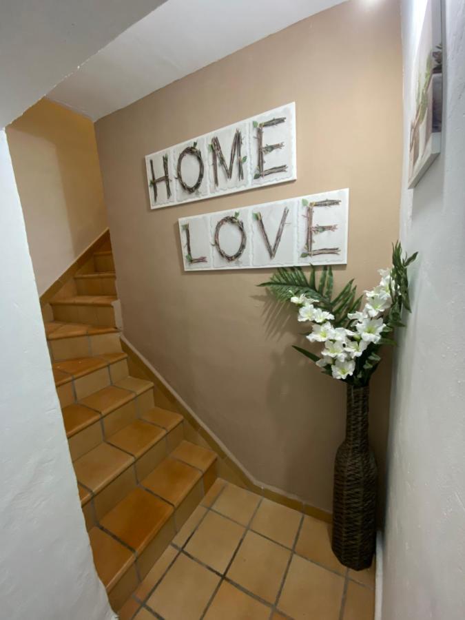 Apartment Rosa